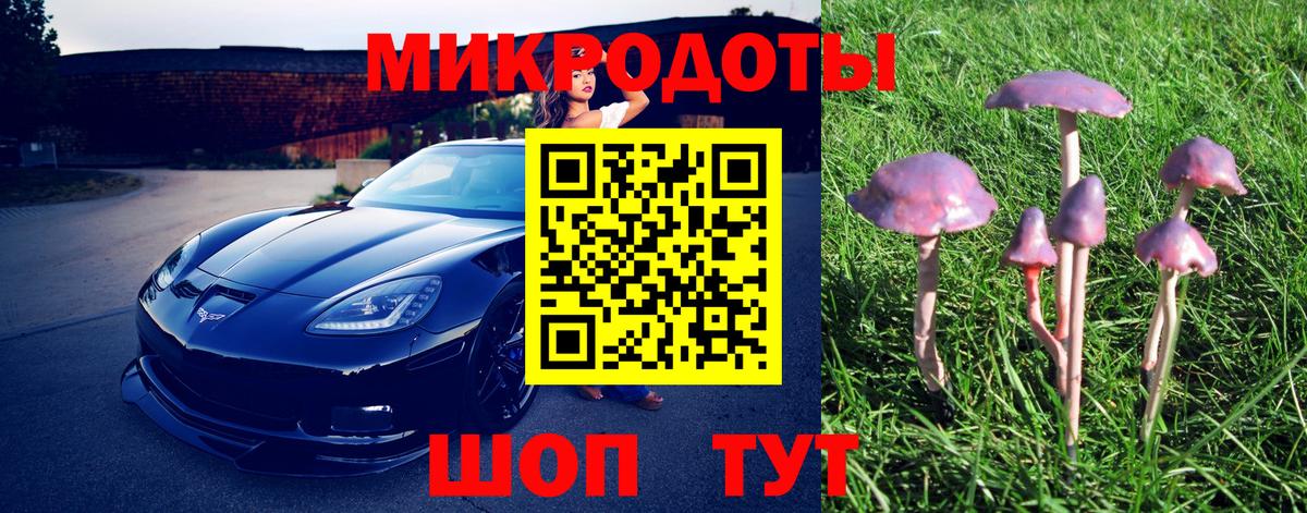 Псилоцибиновые грибы GOLDEN TEACHER  Псилоцибиновые грибы Psilocybe  Зеленокумск  Вход с VPN 